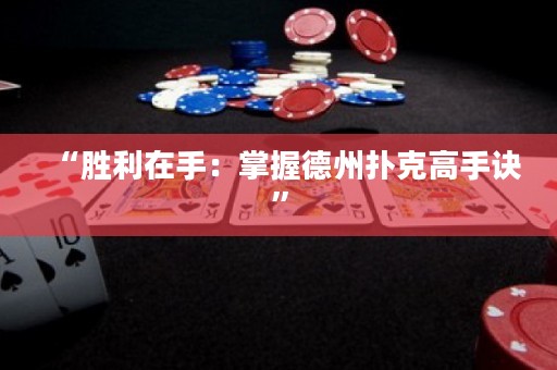 “勝利在手：掌握德州撲克高手訣”