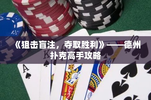 《狙擊盲注，奪取勝利》——德州撲克高手攻略